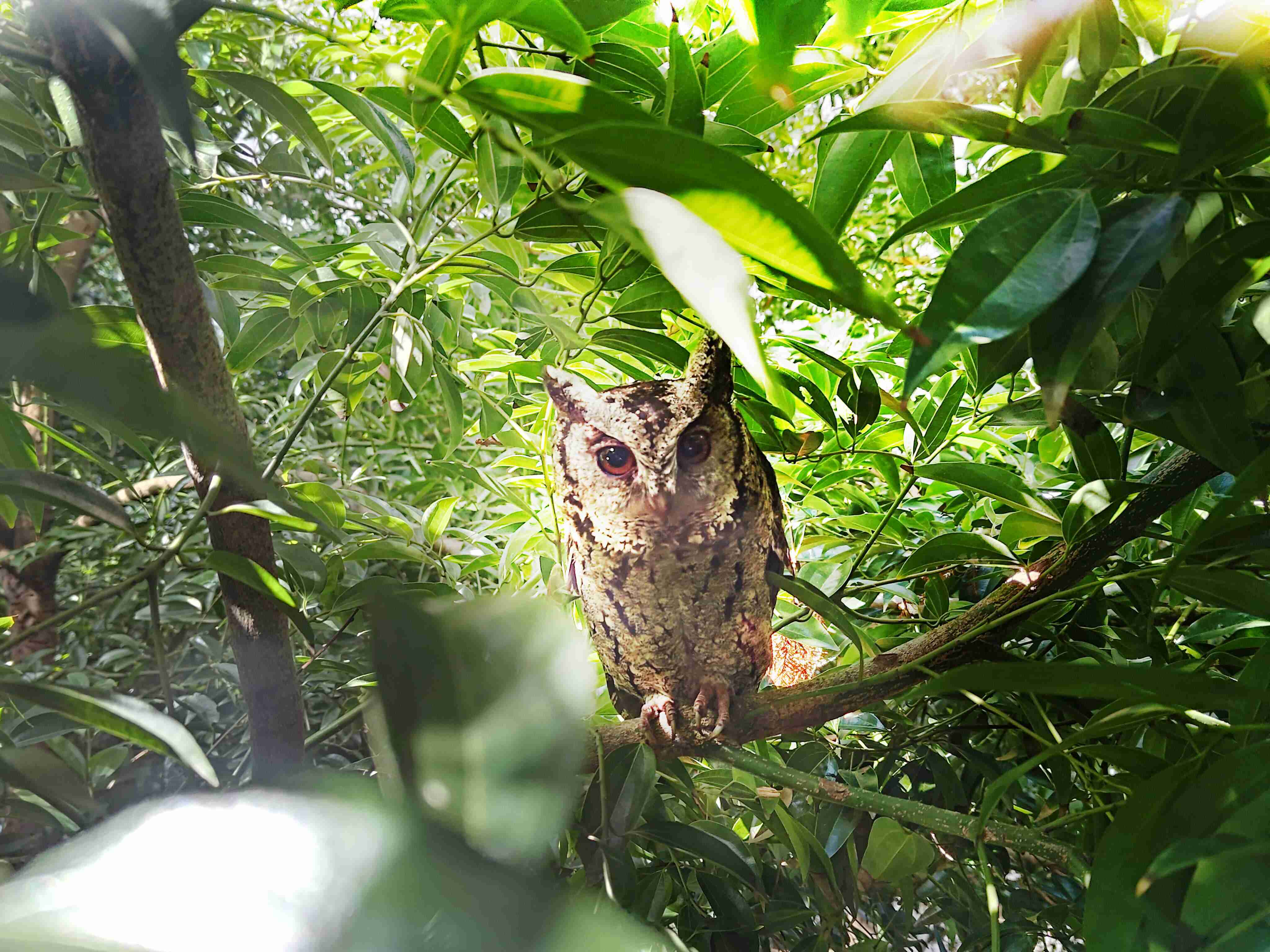 z6尊龙致力提倡净零绿生活，，，，16年以来在全球各厂区植树逾百万棵，，造就各厂区树木蔚然成林，，，犹如森林工厂，，成为许多生物的栖息地